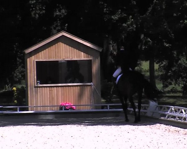 Reitturnier Redefin 2015