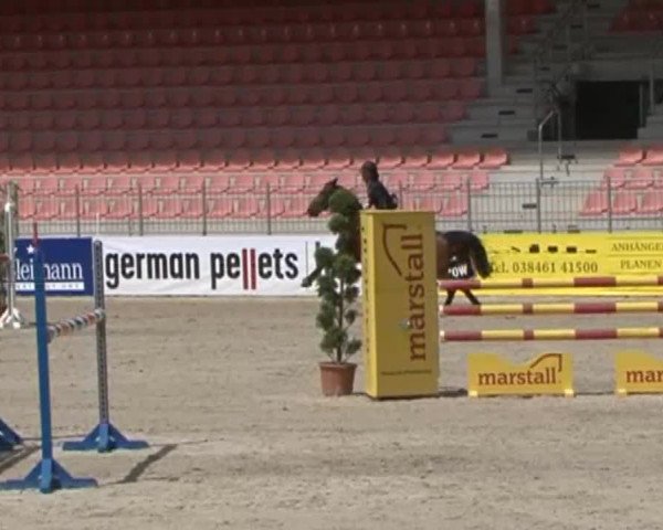 Reitturnier Redefin 2015