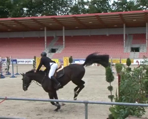 Reitturnier Redefin 2015