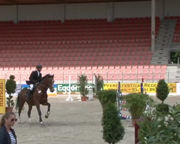 Reitturnier Redefin 2015