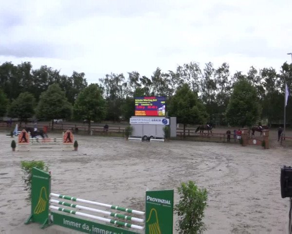 Reitturnier Münster-Roxel 2015