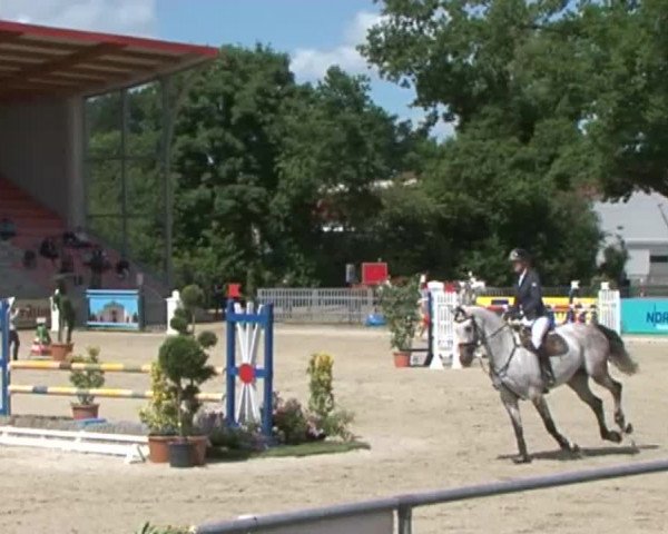 Reitturnier Redefin 2015