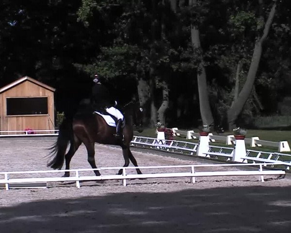 Reitturnier Redefin 2015