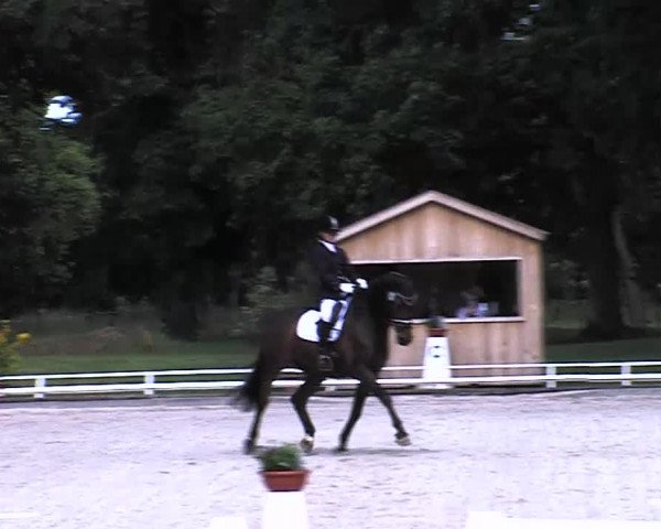 Reitturnier Redefin 2015