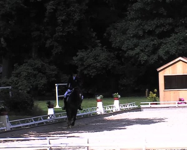 Reitturnier Redefin 2015