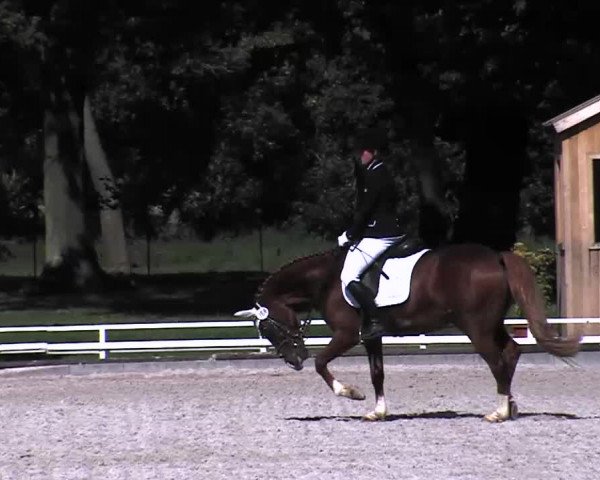 Reitturnier Redefin 2015