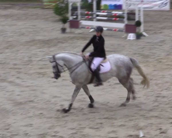 Reitturnier Münster-Roxel 2015