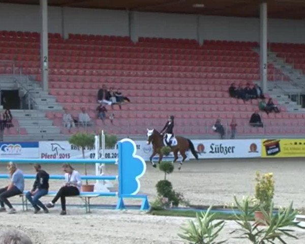Reitturnier Redefin 2015