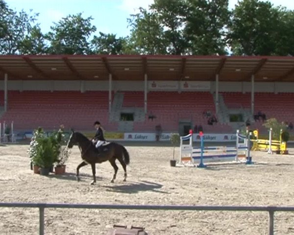 Reitturnier Redefin 2015