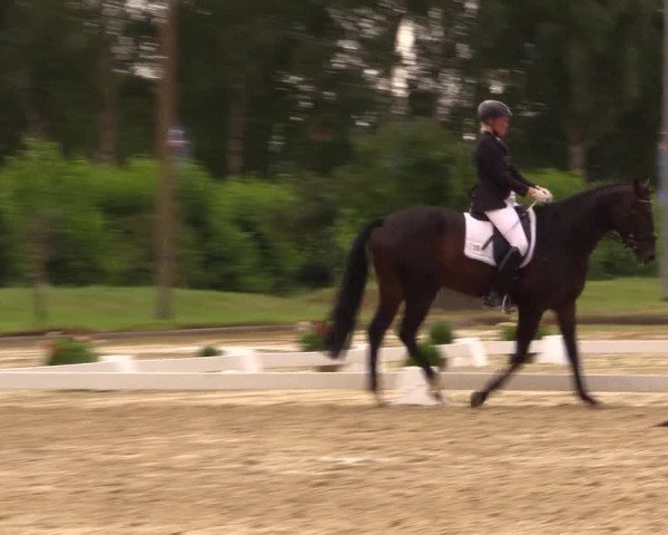 Reitturnier Münster-Roxel 2015