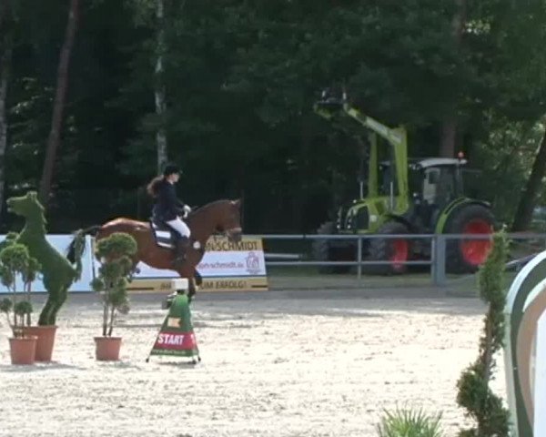 Reitturnier Redefin 2015