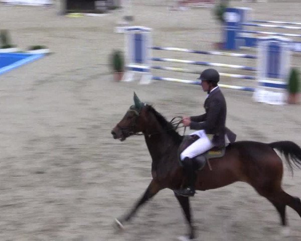 Reitturnier Münster-Roxel 2015