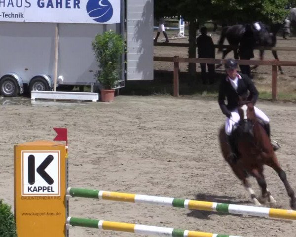 Reitturnier Münster-Roxel 2015