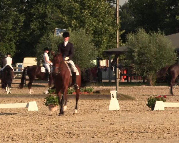 Reitturnier Münster-Roxel 2015
