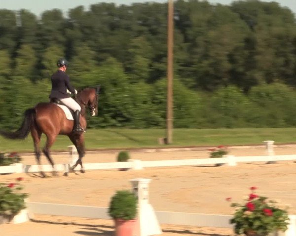 Reitturnier Münster-Roxel 2015