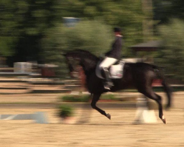 Reitturnier Münster-Roxel 2015