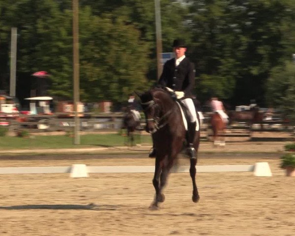 Reitturnier Münster-Roxel 2015