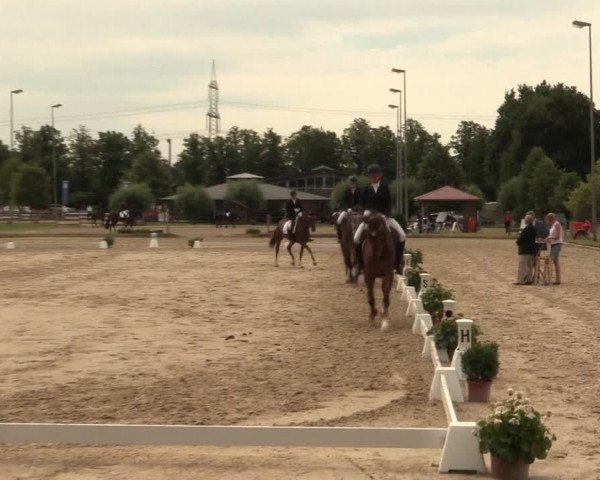Reitturnier Münster-Roxel 2015