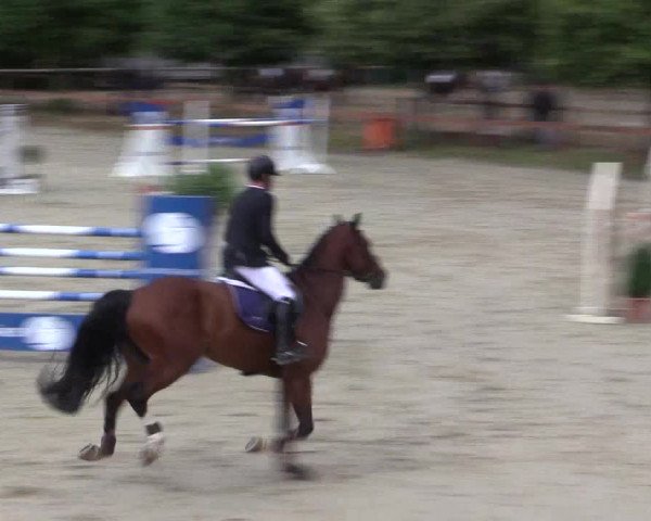 Reitturnier Münster-Roxel 2015
