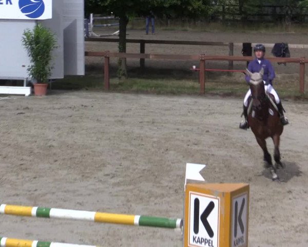 Reitturnier Münster-Roxel 2015