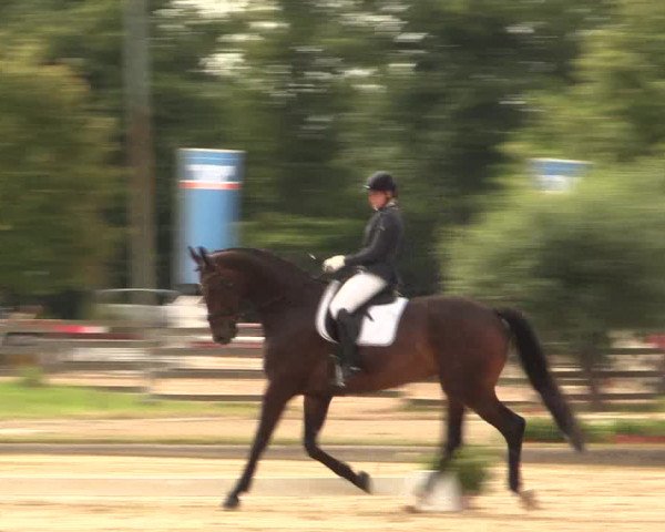 Reitturnier Münster-Roxel 2015