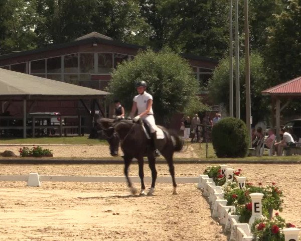 Reitturnier Münster-Roxel 2015
