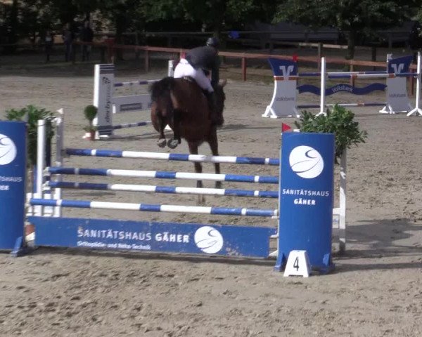 Reitturnier Münster-Roxel 2015