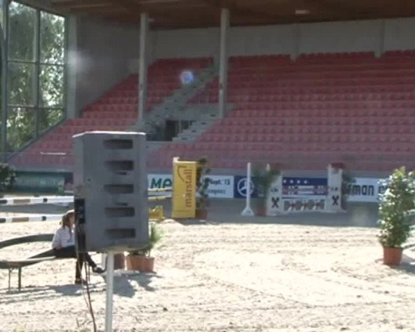 Reitturnier Redefin 2015