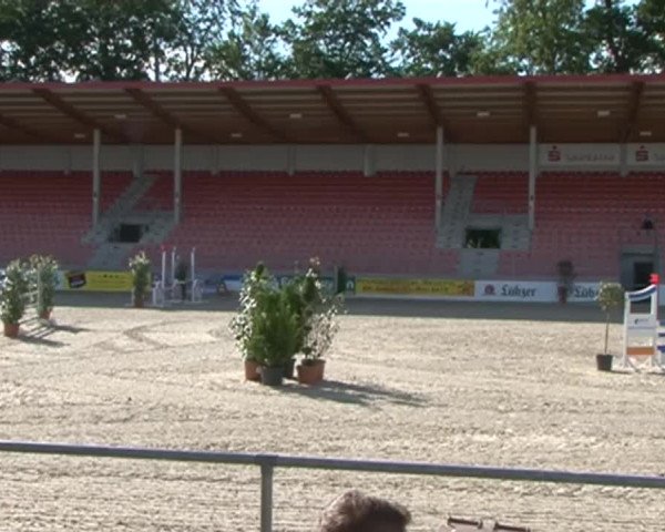 Reitturnier Redefin 2015