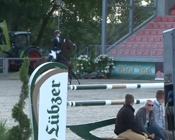 Reitturnier Redefin 2015