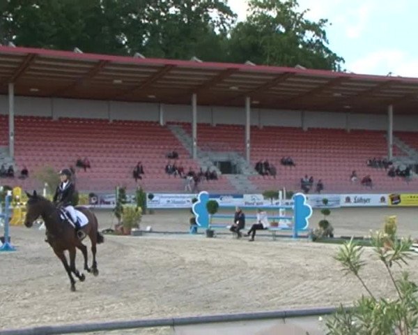 Reitturnier Redefin 2015