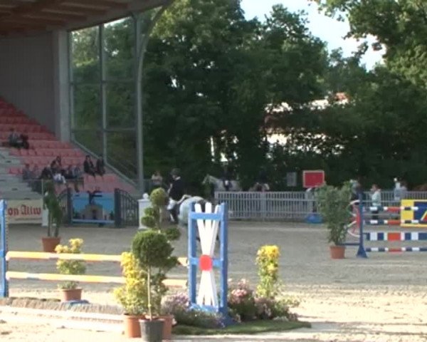 Reitturnier Redefin 2015
