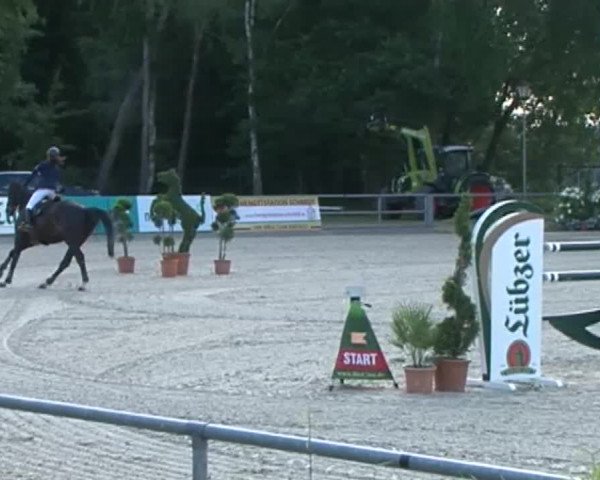 Reitturnier Redefin 2015