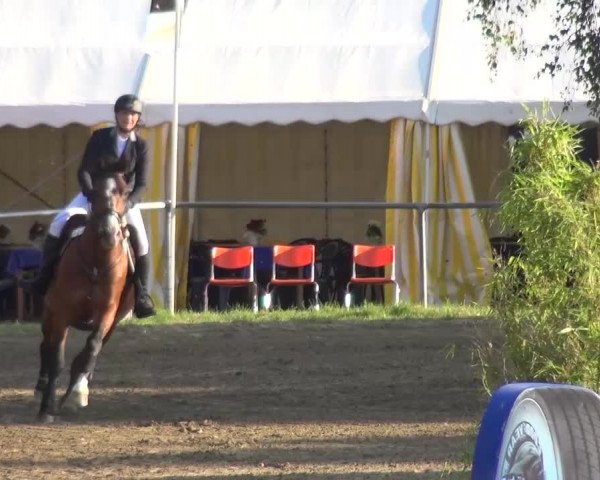 Reitturnier Grefrath - Reitanlage Heitzerend 2015