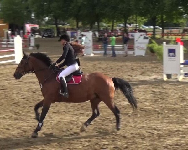 Reitturnier Grefrath - Reitanlage Heitzerend 2015