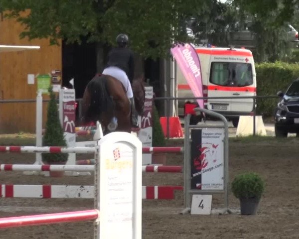 Reitturnier Grefrath - Reitanlage Heitzerend 2015