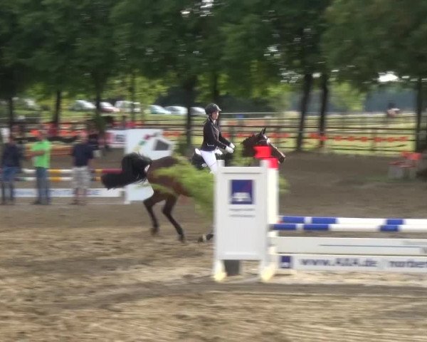 Reitturnier Grefrath - Reitanlage Heitzerend 2015