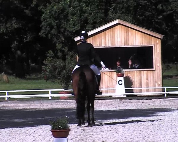 Reitturnier Redefin 2015