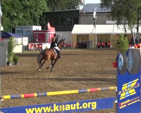 Reitturnier Grefrath - Reitanlage Heitzerend 2015