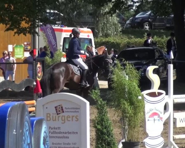 Reitturnier Grefrath - Reitanlage Heitzerend 2015