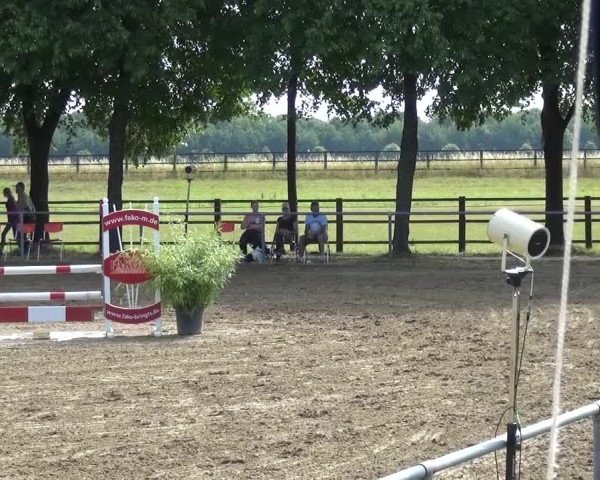 Reitturnier Grefrath - Reitanlage Heitzerend 2015