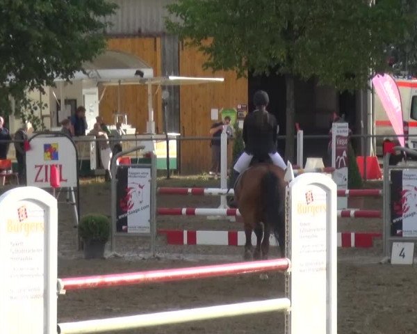 Reitturnier Grefrath - Reitanlage Heitzerend 2015