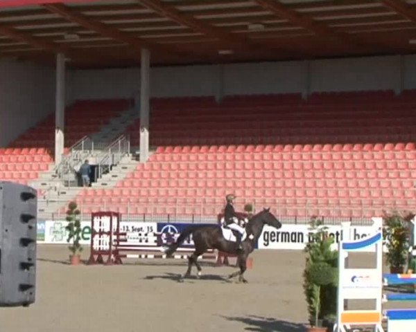 Reitturnier Redefin 2015