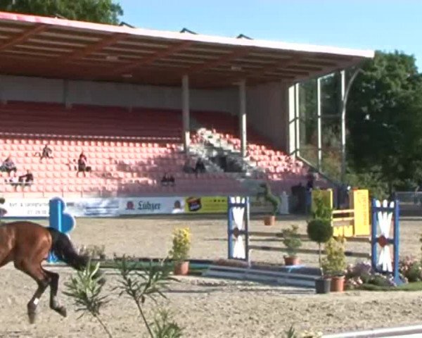 Reitturnier Redefin 2015