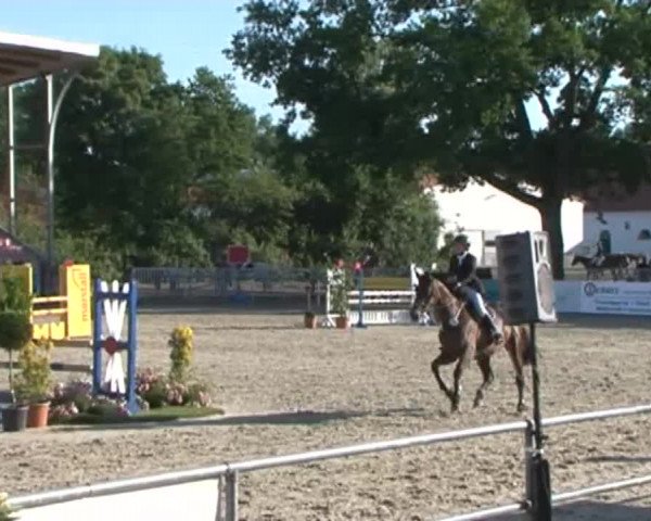 Reitturnier Redefin 2015
