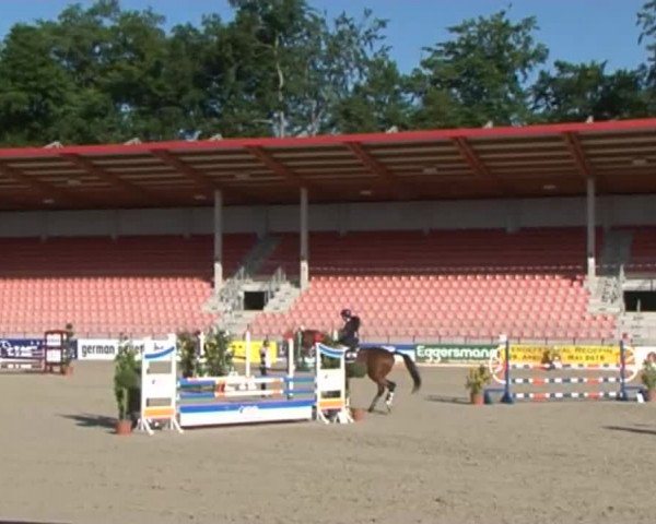 Reitturnier Redefin 2015