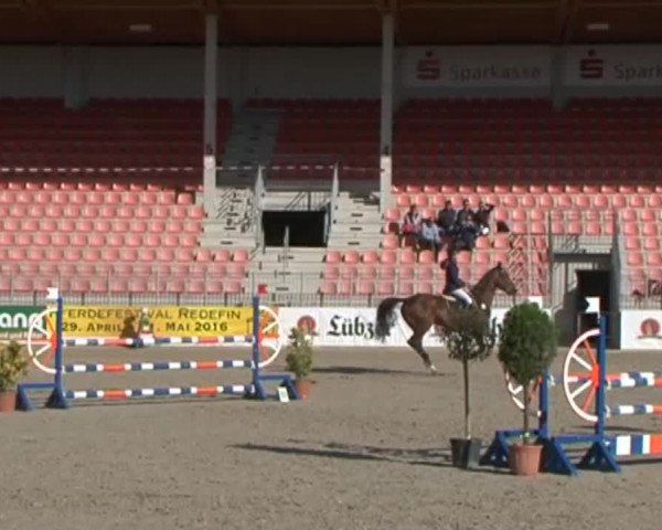 Reitturnier Redefin 2015