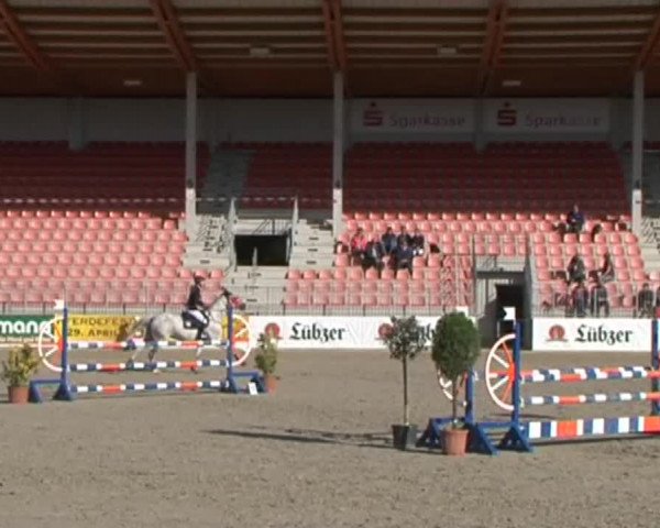 Reitturnier Redefin 2015