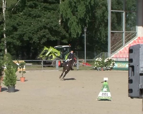 Reitturnier Redefin 2015