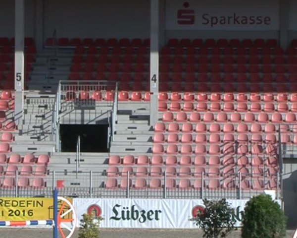 Reitturnier Redefin 2015